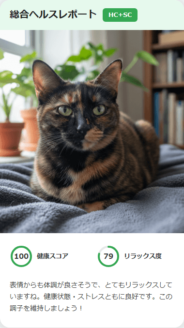 CatsMe Health Report 1