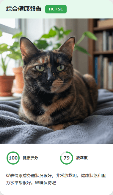 CatsMe Health Report 1