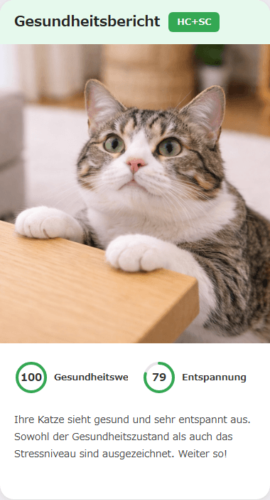 CatsMe Health Report 2