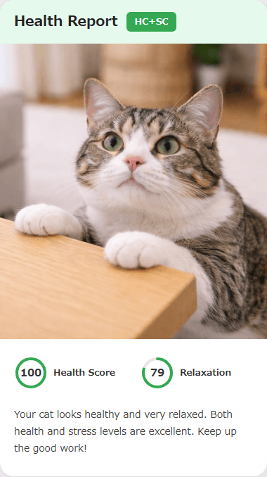 CatsMe Health Report 2
