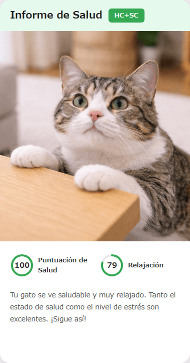 CatsMe Health Report 2