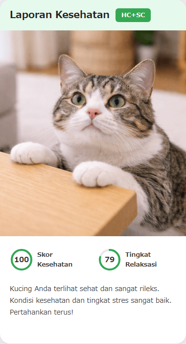 CatsMe Health Report 2