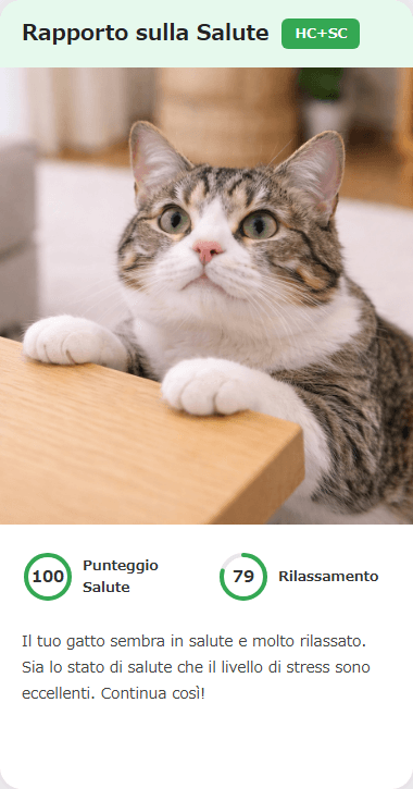 CatsMe Health Report 2
