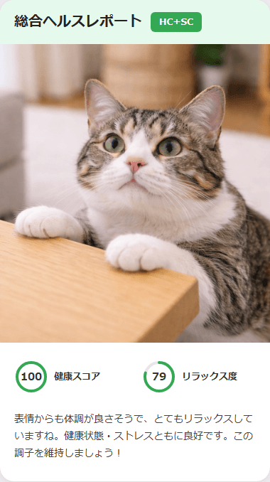 CatsMe Health Report 2