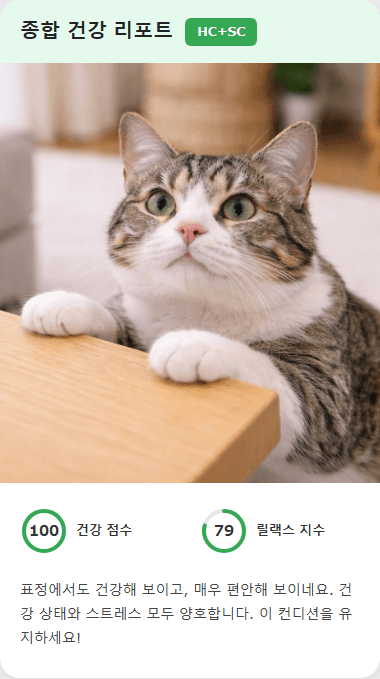 CatsMe Health Report 2