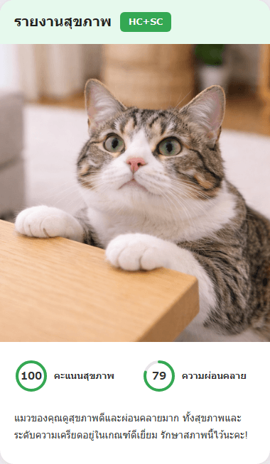 CatsMe Health Report 2