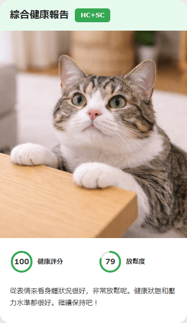 CatsMe Health Report 2