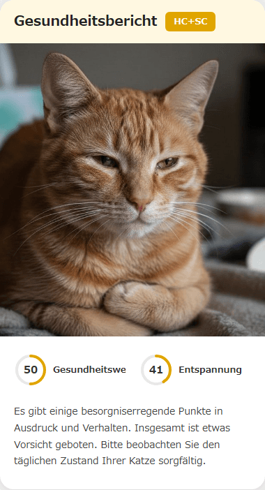 CatsMe Health Report 3