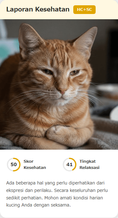 CatsMe Health Report 3
