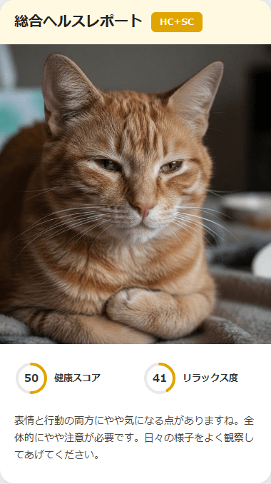 CatsMe Health Report 3