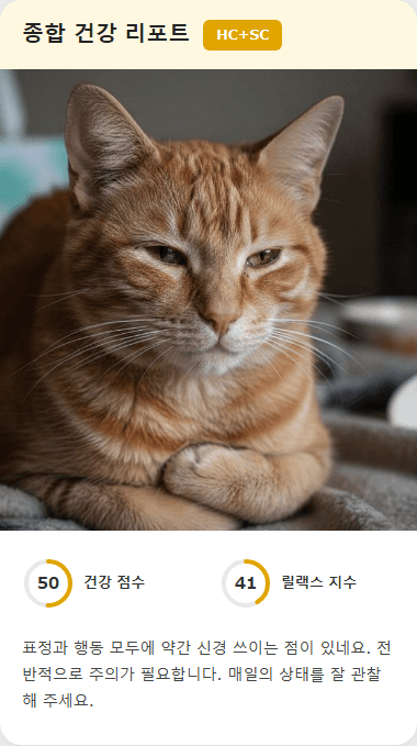 CatsMe Health Report 3