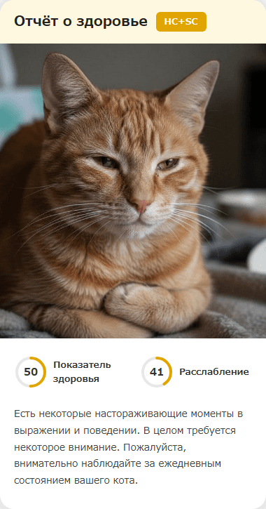 CatsMe Health Report 3