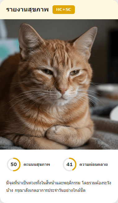 CatsMe Health Report 3