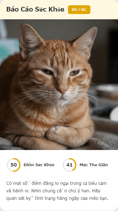 CatsMe Health Report 3