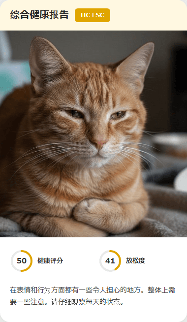 CatsMe Health Report 3
