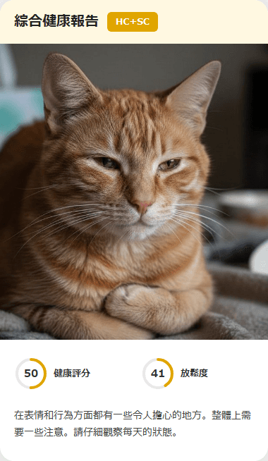 CatsMe Health Report 3