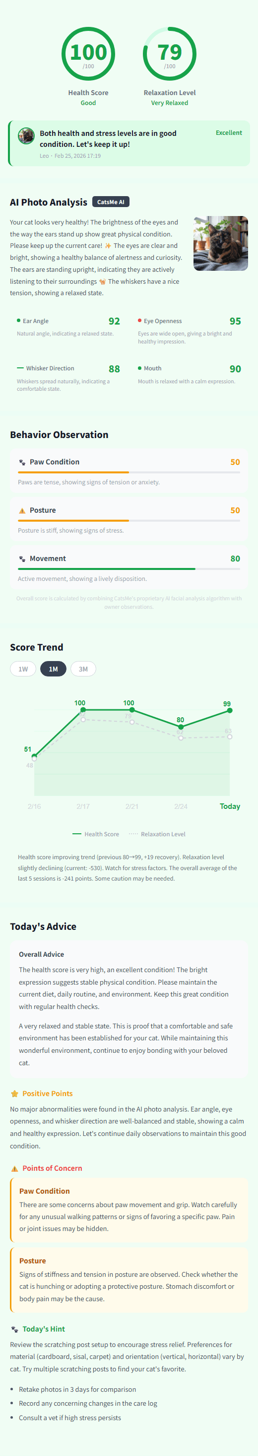 CatsMe Detailed Report