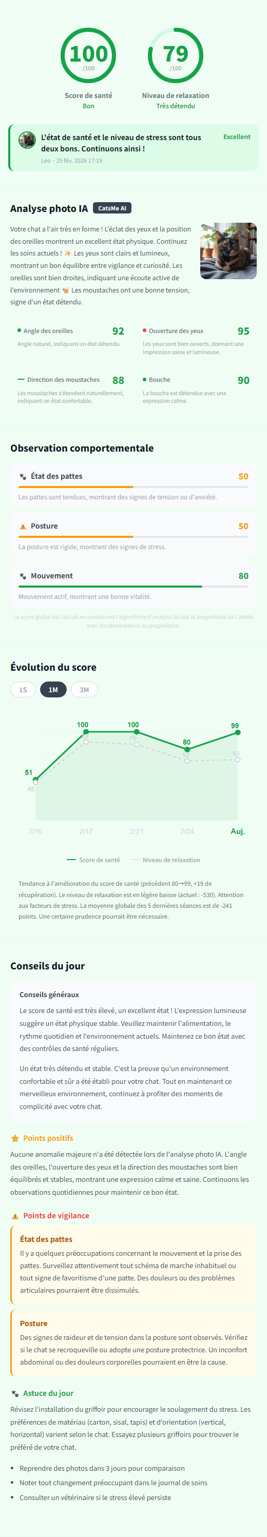 CatsMe Detailed Report