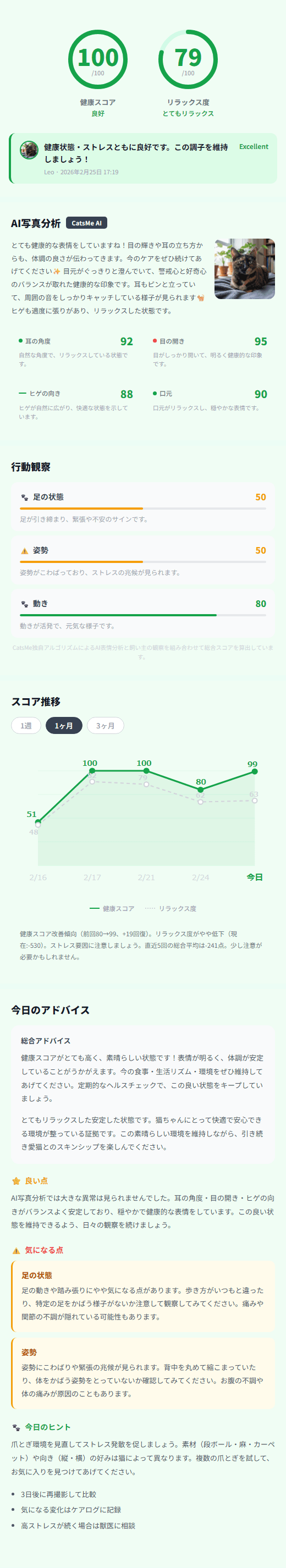 CatsMe Detailed Report