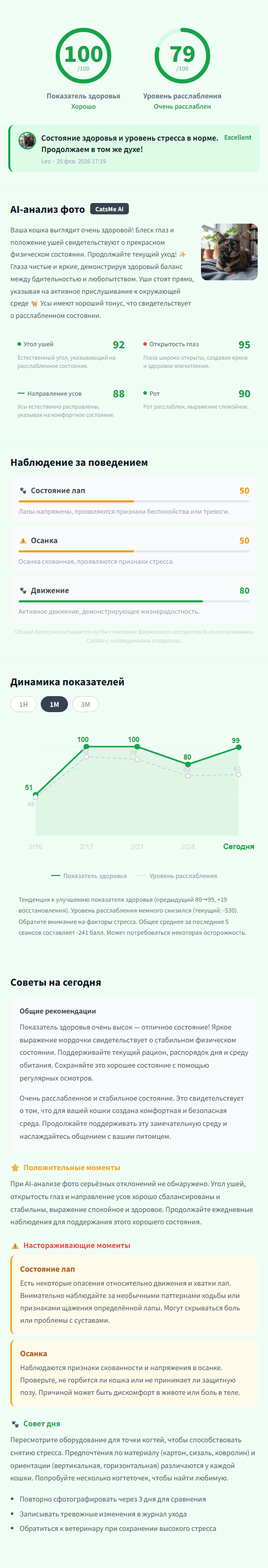 CatsMe Detailed Report