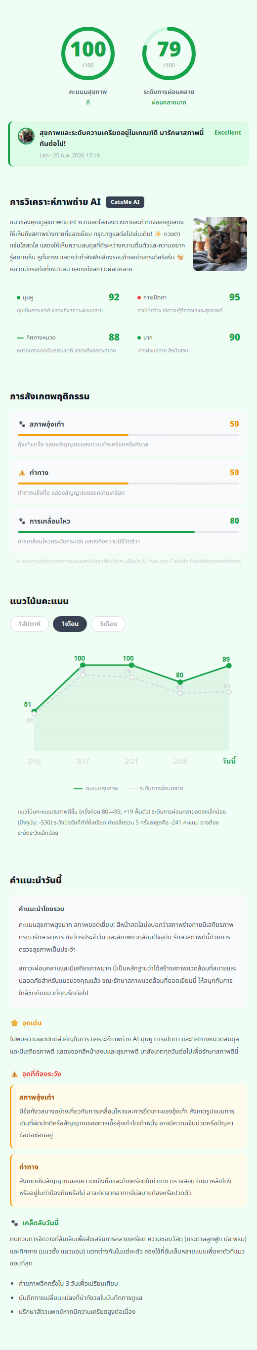 CatsMe Detailed Report