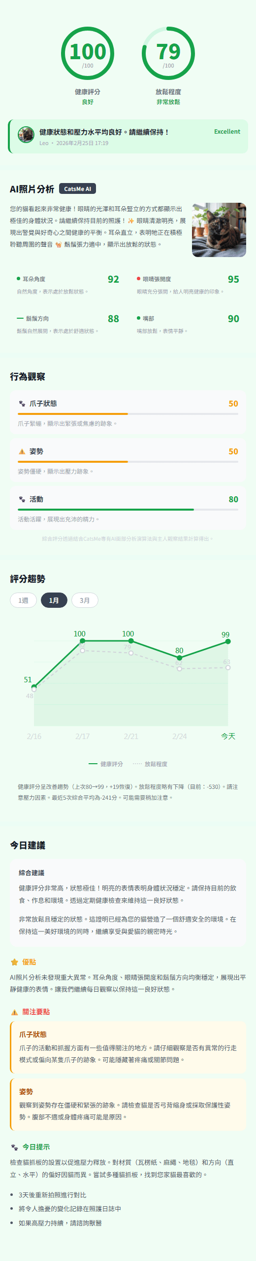CatsMe Detailed Report