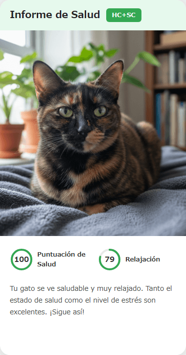Prepárate para actuar en cuanto sientas que algo no va bien