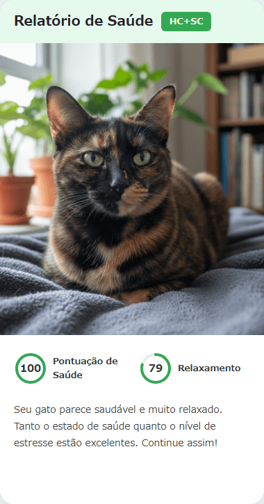 Esteja preparado no momento em que sentir que algo não está bem