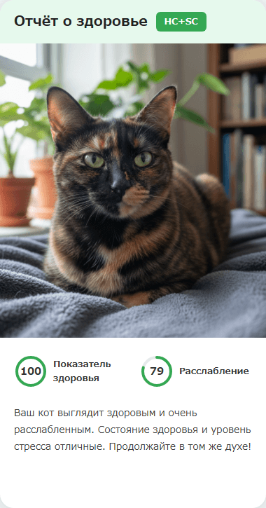 CatsMe Health Report