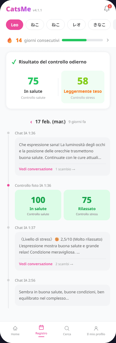 Salvataggio automatico registrazioni