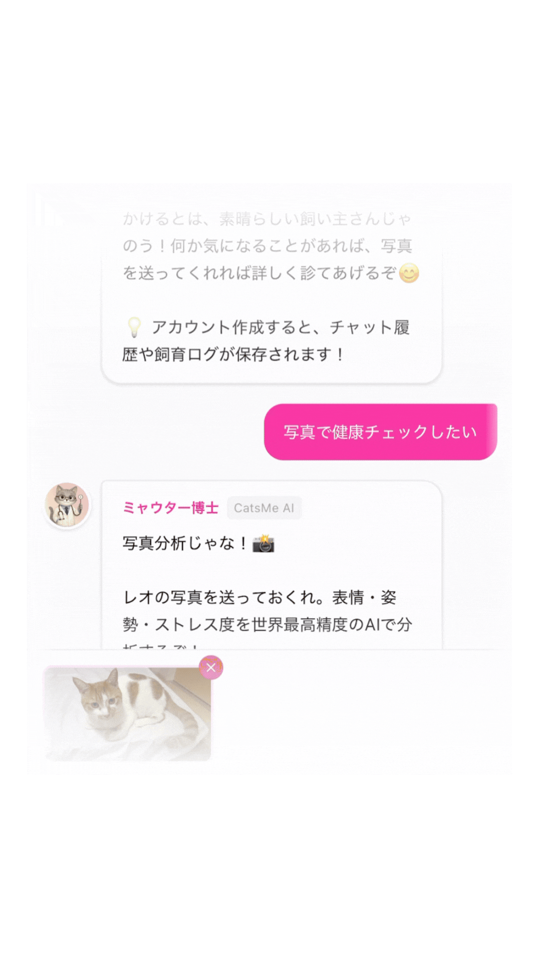 CatsMe App