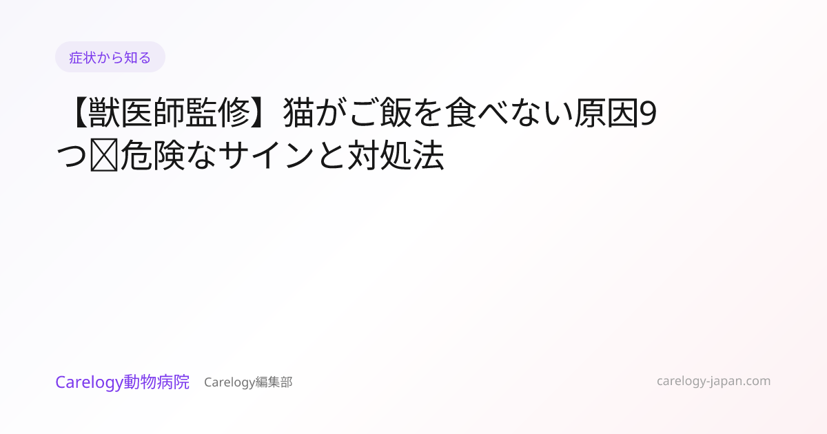 Why Is My Cat Not Eating? 9 Causes & When to Worry | Carelogy